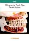 Image for 3D Interactive Tooth Atlas : Dental Hygiene