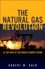 Image for The Natural Gas Revolution : At the Pivot of the World&#39;s Energy Future