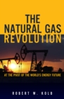 Image for The natural gas revolution: at the pivot of the world&#39;s energy future