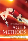 Image for Introduction to agile methods