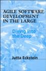 Image for Agile software development in the large: diving into the deep