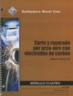 Image for ES29104-09 Air Carbon Arc Cutting and Gouging Trainee Guide in Spanish