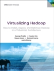 Image for Virtualizing Hadoop