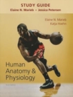 Image for Human anatomy &amp; physiology, tenth edition, by Jessica Petersen: Study guide