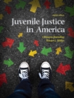 Image for Juvenile justice in America