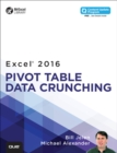 Image for Excel 2016 pivot table data crunching