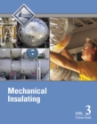 Image for Mechanical insulatingLevel 3,: Training guide