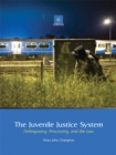 Image for The juvenile justice system  : delinquency, processing, and the law