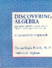 Image for Discovering Algebra