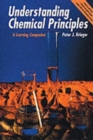 Image for Understanding Chemical Principles : A Learning Companion