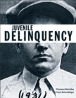 Image for Juvenile Delinquency : A Brief Introduction