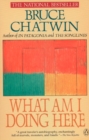 Image for Chatwin Bruce : What am I Doing Here
