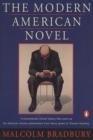Image for Modern American Novel