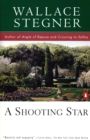 Image for A Shooting Star