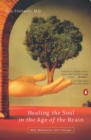 Image for Healing the Soul in the Decade of the Brain