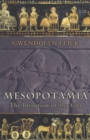 Image for Mesopotamia  : the invention of the city