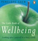 Image for The Little Book of Wellbeing