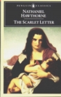 Image for The scarlet letter  : a romance