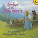 Image for Amber on the Mountain