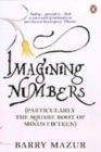Image for Imagining Numbers
