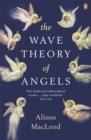 Image for The Wave Theory of Angels