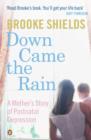 Image for Down Came the Rain