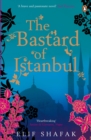 Image for The bastard of Istanbul