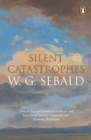 Image for Silent Catastrophes