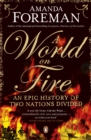 Image for A world on fire  : an epic history of two nations divided