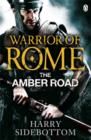 Image for Warrior of Rome VI: The Amber Road