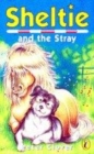 Image for Sheltie And the Stray