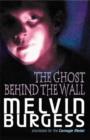 Image for The Ghost Behind the Wall