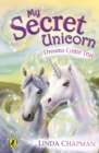 Image for My Secret Unicorn: Dreams Come True