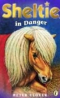 Image for Sheltie in Danger
