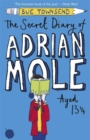 Image for The secret diary of Adrian Mole aged 13 3/4