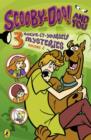 Image for Scooby-Doo! and you  : 3 solve-it-yourself mysteriesVol. 2 : 3 Solve-it-yourself Mysteries