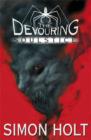 Image for The Devouring: Soulstice