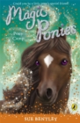 Image for Magic Ponies: Pony Camp