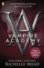 Vampire academy by Mead, Richelle cover image