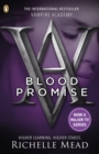 Image for Blood promise