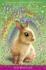 Image for Magic Bunny: Holiday Dreams