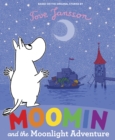 Image for Moomin and the Moonlight Adventure