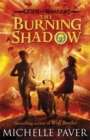 Image for The Burning Shadow (Gods and Warriors Book 2)