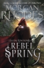 Image for Falling Kingdoms: Rebel Spring (book 2)