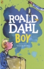 Boy  : tales of childhood by Dahl, Roald cover image