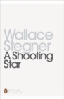 Image for A shooting star
