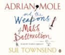 Image for Adrian Mole and the Weapons of Mass Destruction