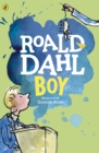 Boy: tales of childhood by Dahl, Roald cover image