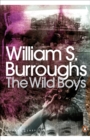 Image for The wild boys: a book of the dead
