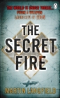 Image for The secret fire